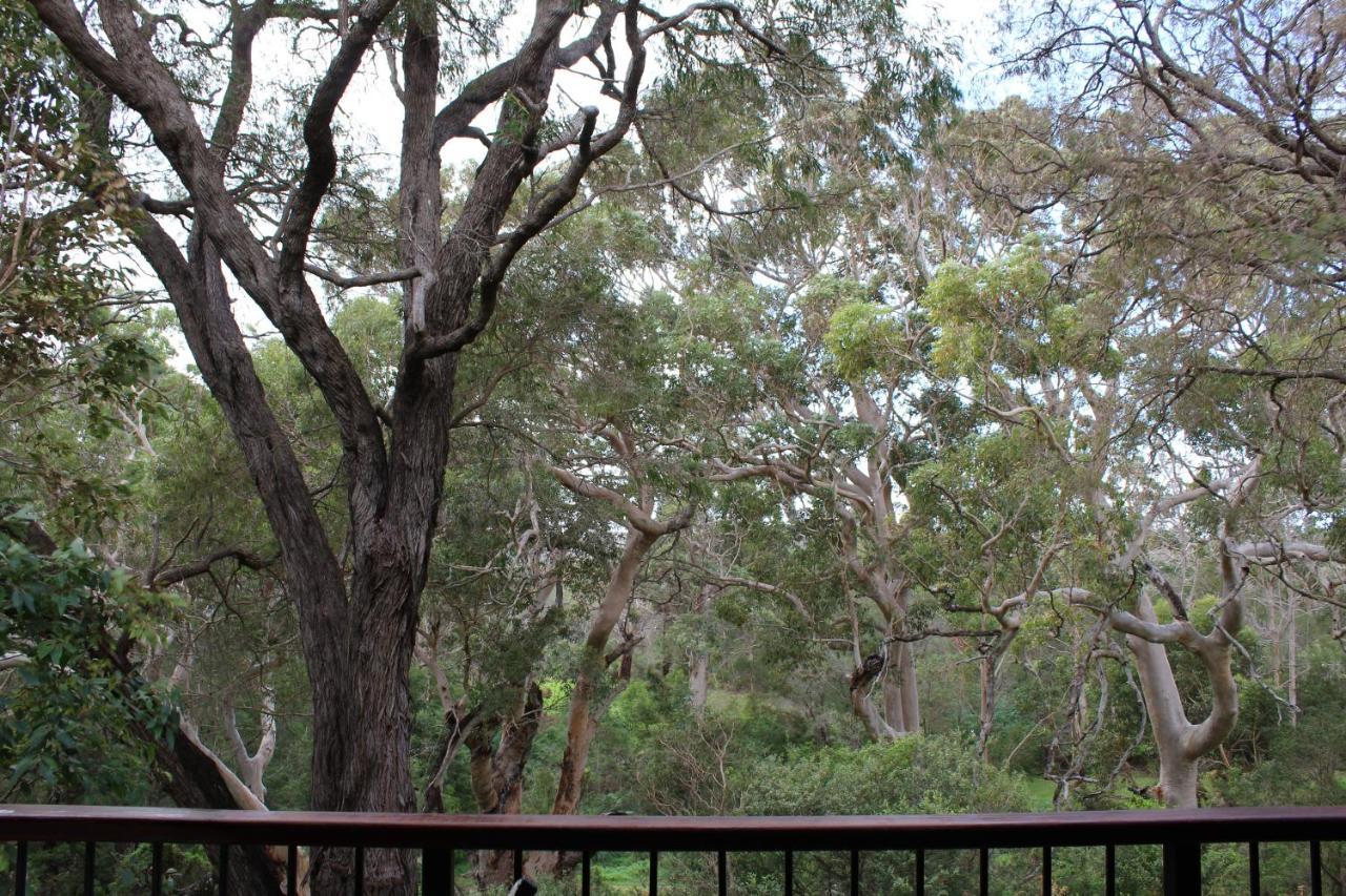 Villa Karriview Margaret River Extérieur photo